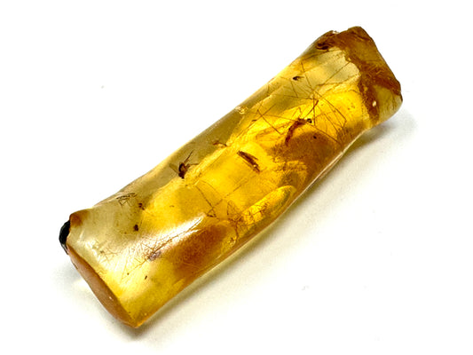 Copal With Insects 4.4cm