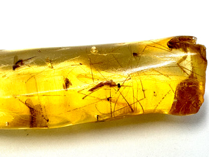 Copal With Insects 4.4cm