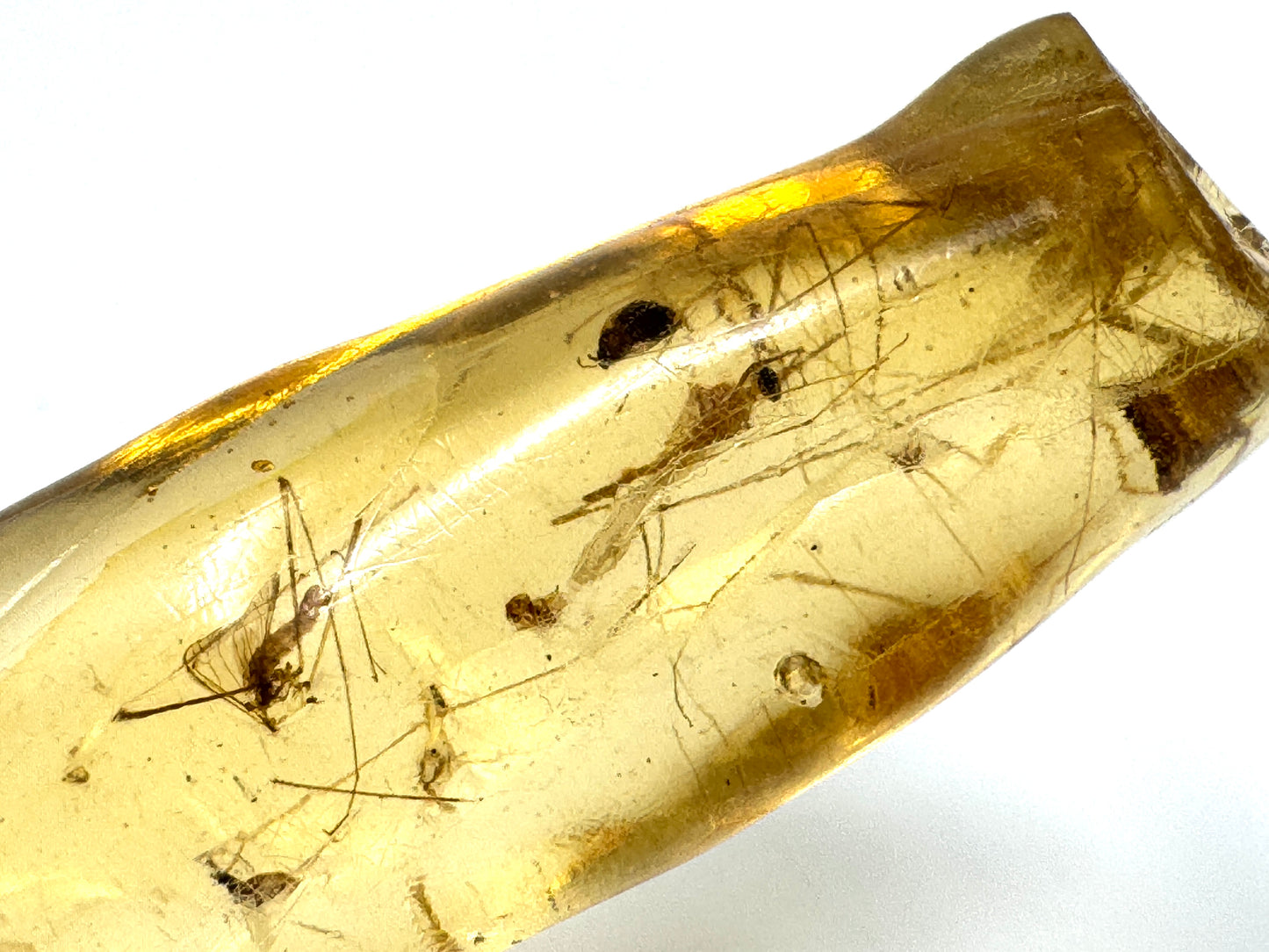 Copal With Insects 4.4cm