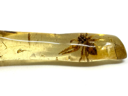 Copal With Insects 5.6cm