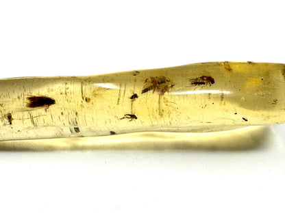 Copal With Insects 5.6cm