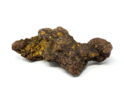 Coprolite Fossil 10.4cm