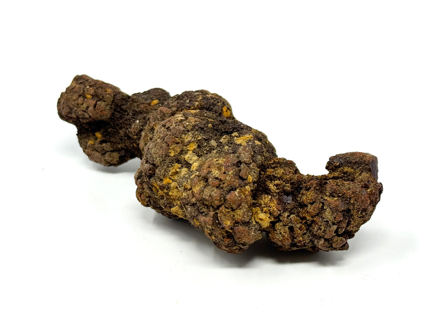 Coprolite Fossil 10.4cm
