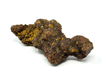 Coprolite Fossil 10.4cm