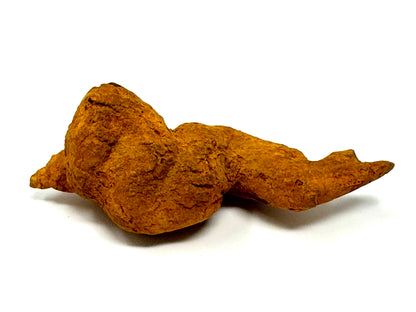 Coprolite Fossil 8.5cm