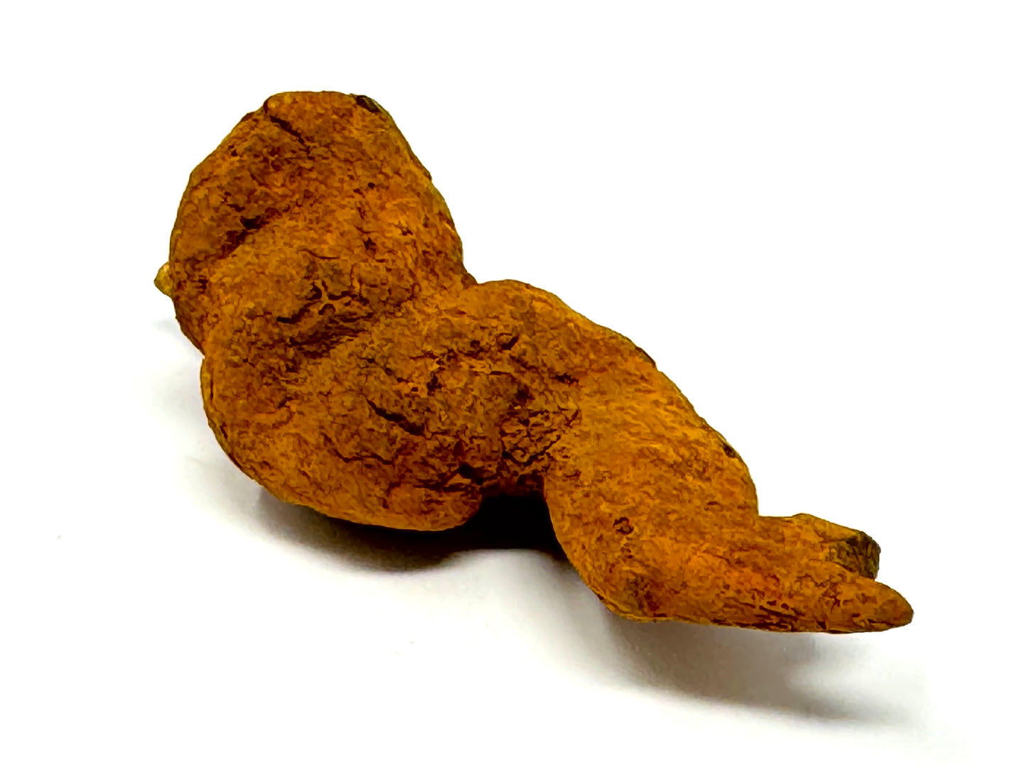 Coprolite Fossil 8.5cm