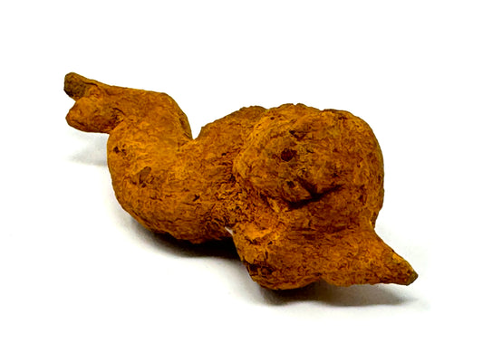 Coprolite Fossil 8.5cm
