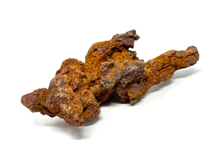 Coprolite Fossil 13cm