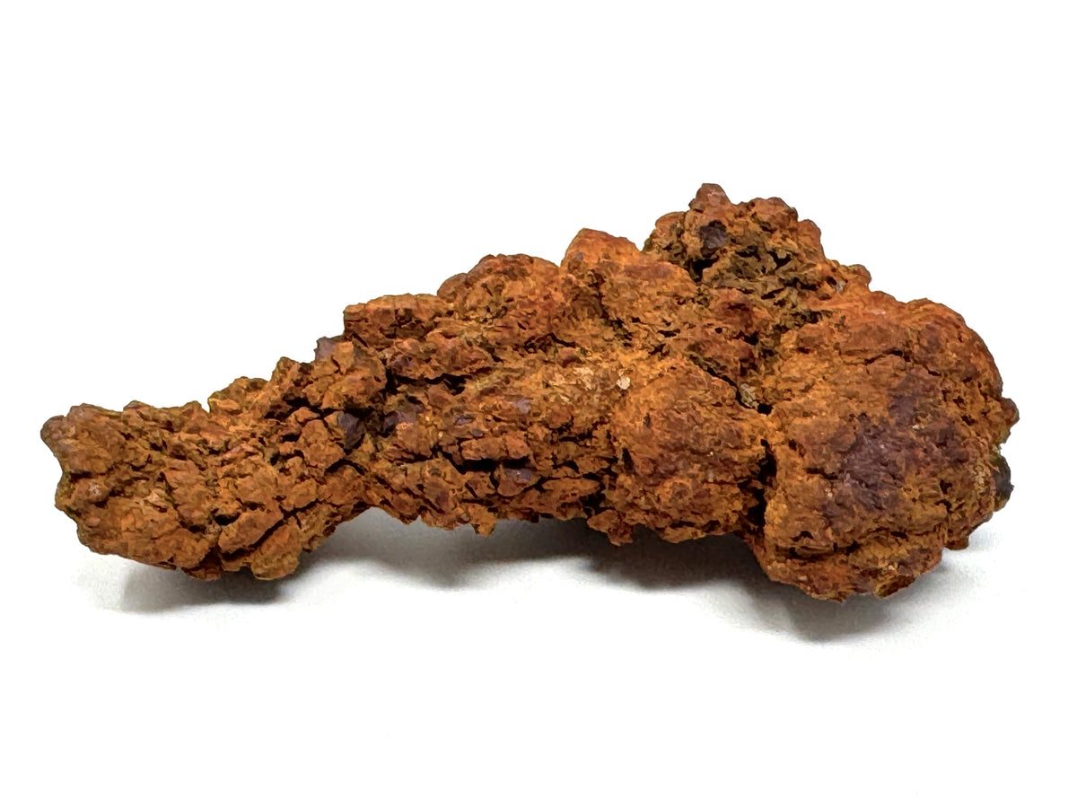 Coprolite Fossil 11.4cm