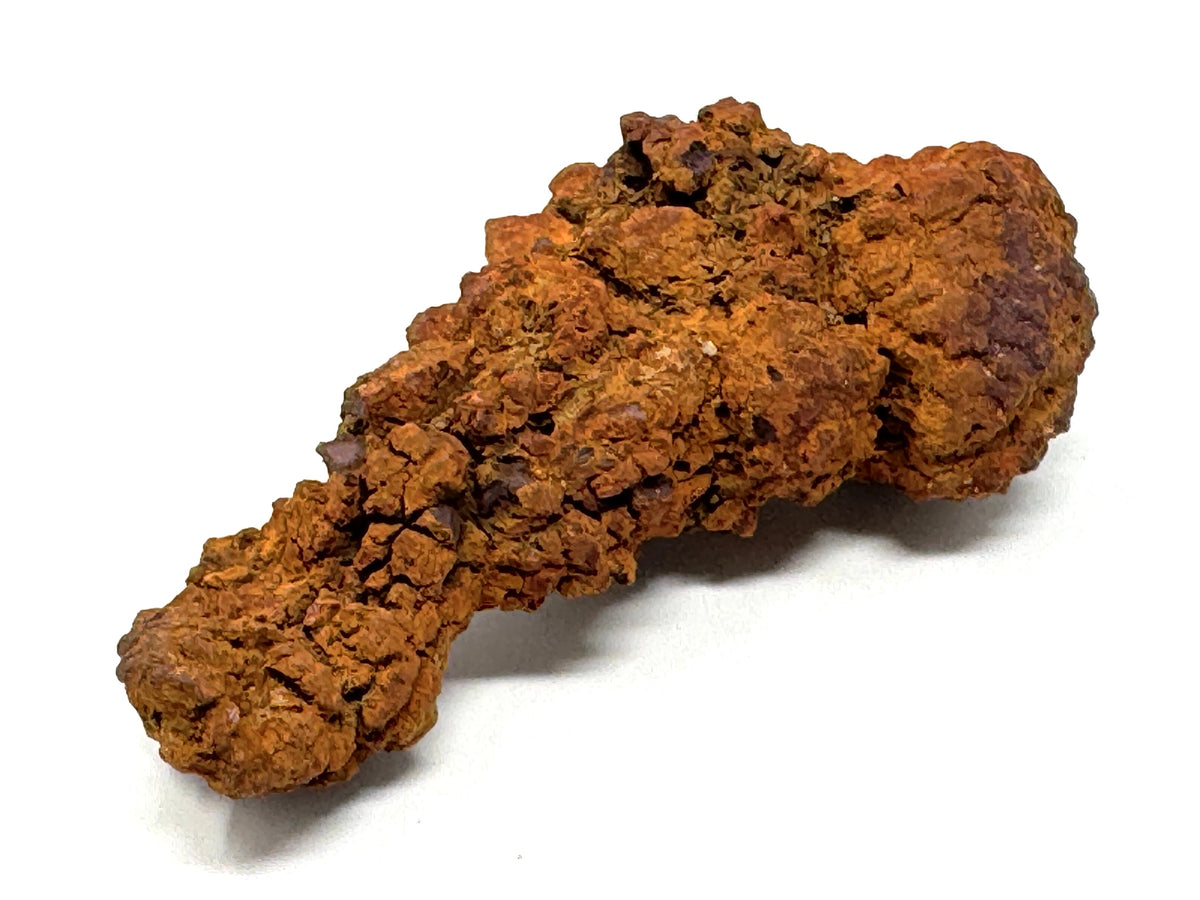 Coprolite Fossil 11.4cm