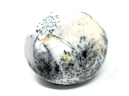 Dendritic Opal Crystal Pebble 5.5cm
