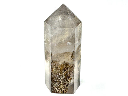 Dendritic Quartz Crystal Point 5.4cm