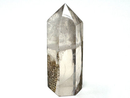 Dendritic Quartz Crystal Point 5.4cm