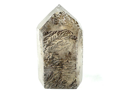 Dendritic Quartz Crystal Point 4.6cm
