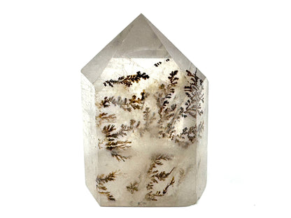 Dendritic Quartz Crystal Point 3.1cm