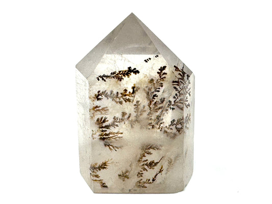 Dendritic Quartz Crystal Point 3.1cm
