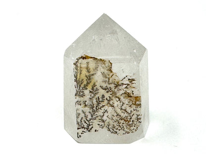 Dendritic Quartz Crystal Point 3.9cm