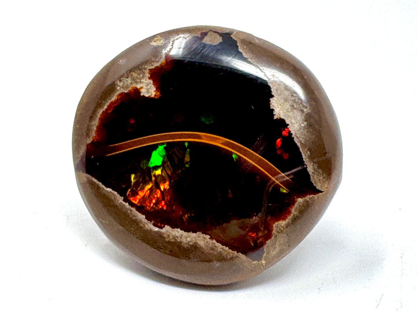 Ethiopian Shewa Opal: Polished Chocolate Opal Gemstone 14.71 grams