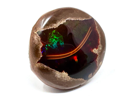 Ethiopian Shewa Opal: Polished Chocolate Opal Gemstone 14.71 grams