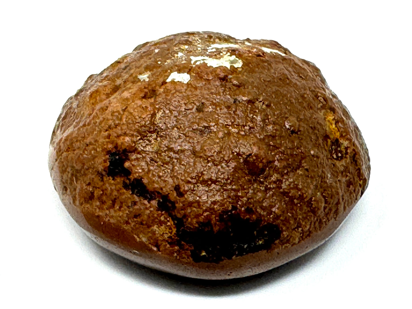 Ethiopian Shewa Opal: Polished Chocolate Opal Gemstone 14.71 grams