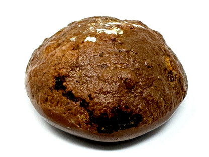 Ethiopian Shewa Opal: Polished Chocolate Opal Gemstone 14.71 grams