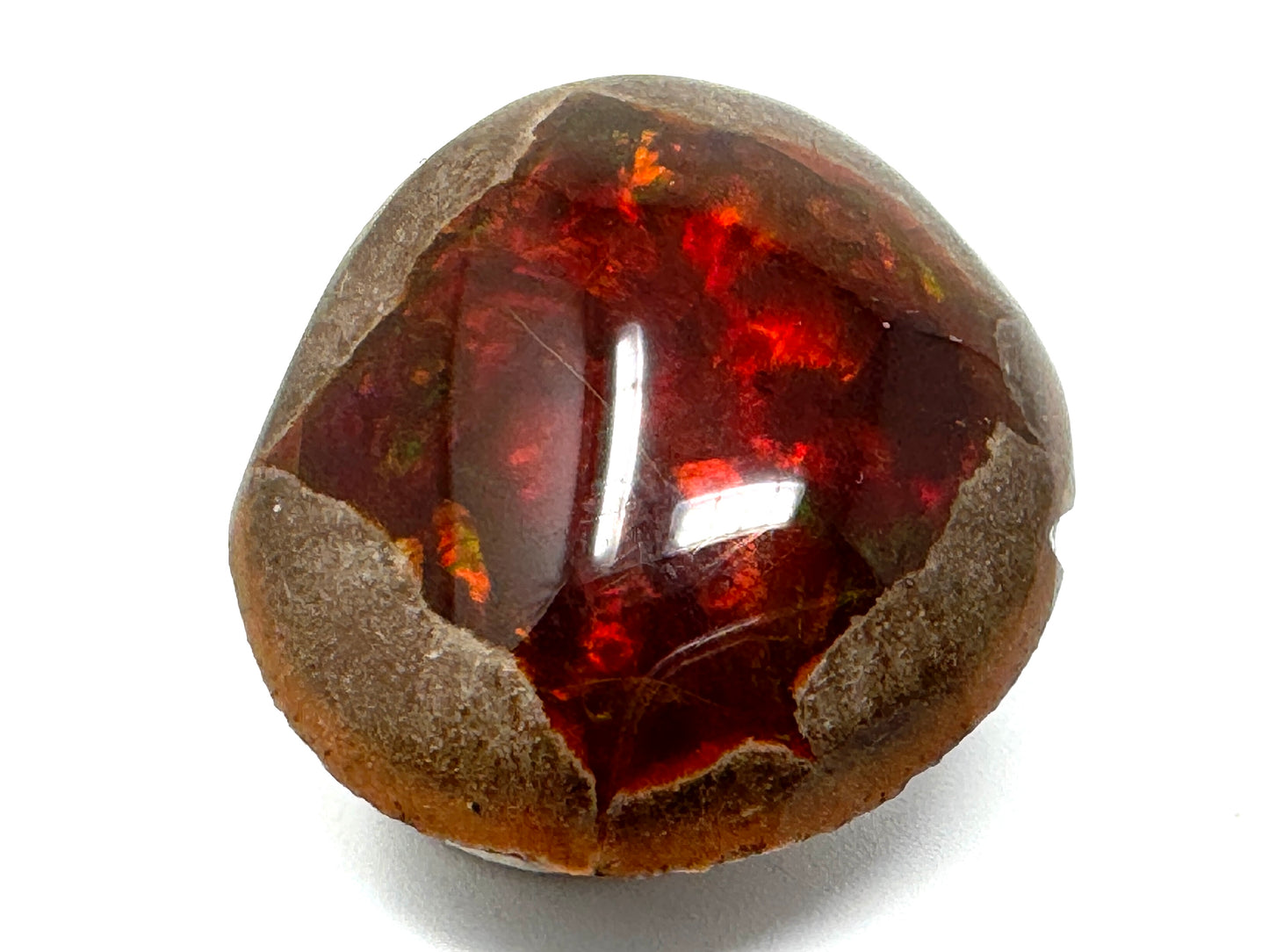 Ethiopian Shewa Opal: Polished Chocolate Opal Gemstone 7.92