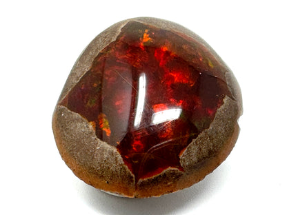 Ethiopian Shewa Opal: Polished Chocolate Opal Gemstone 7.92