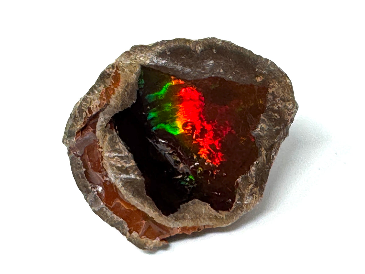 Ethiopian Shewa Opal: Natural Chocolate Opal Gemstone 22.31 grams