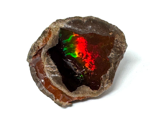 Ethiopian Shewa Opal: Natural Chocolate Opal Gemstone 22.31 grams