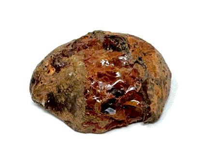Ethiopian Shewa Opal: Natural Chocolate Opal Gemstone 22.31 grams