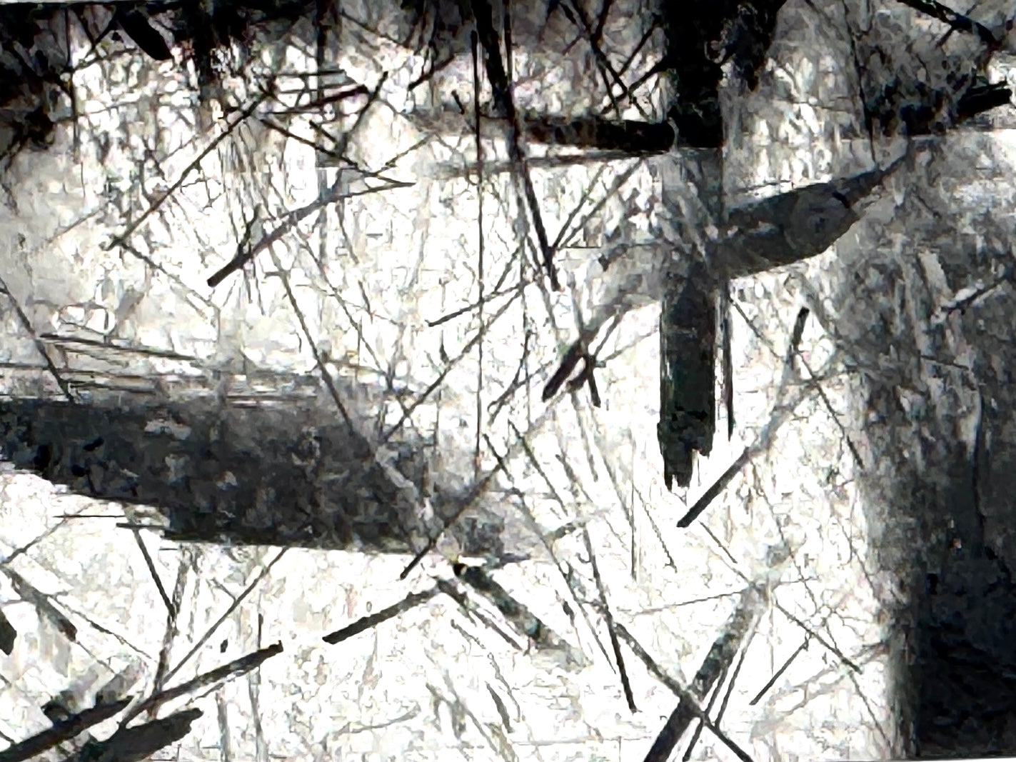 Faceted Quartz With Tourmaline Crystal 11.8cm