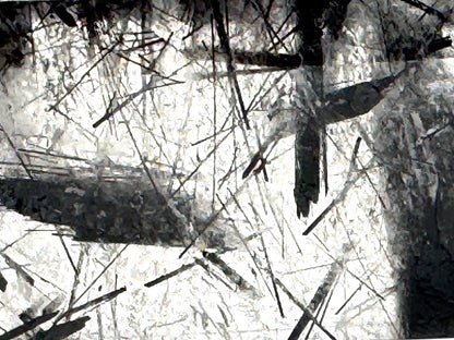 Faceted Quartz With Tourmaline Crystal 11.8cm