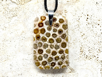 Fossil Coral Pendant 4.2cm