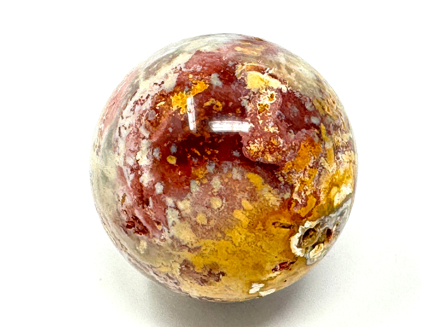 Fossil Coral Sphere 6.1cm