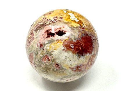Fossil Coral Sphere 6.1cm