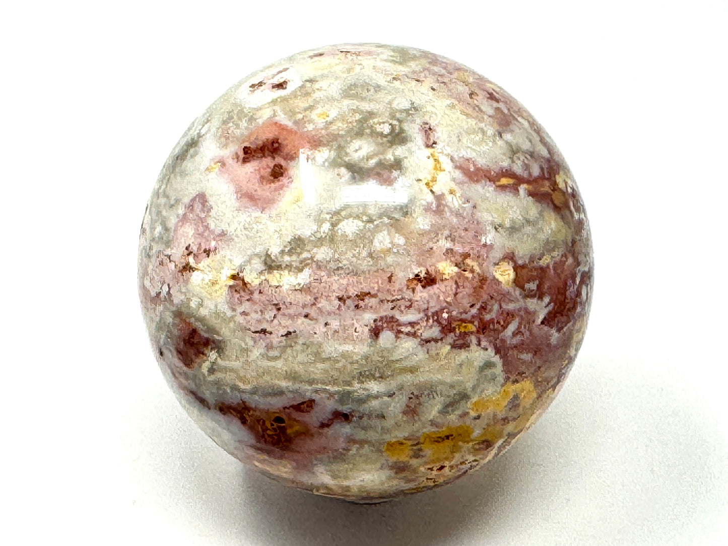 Fossil Coral Sphere 6.1cm