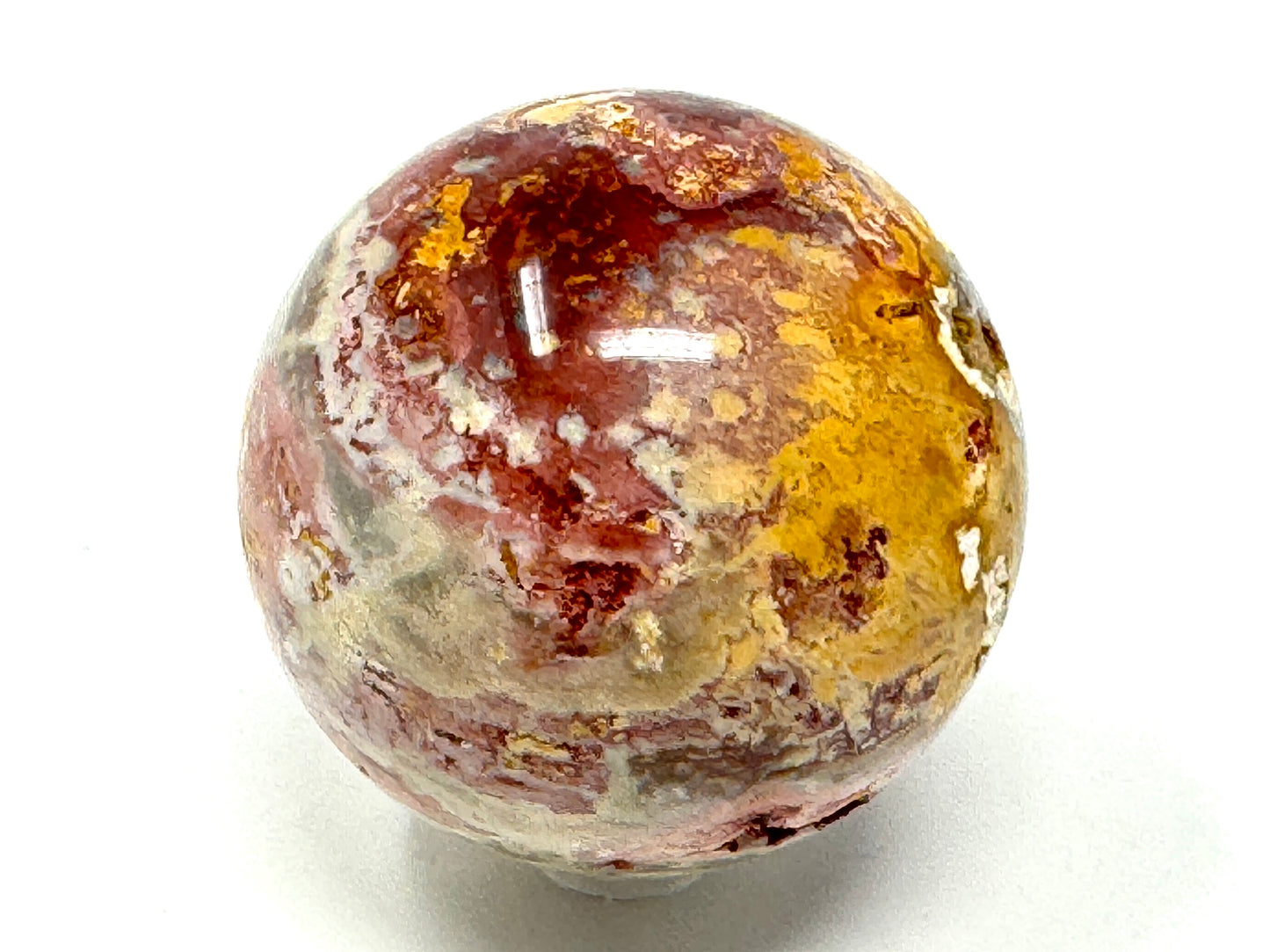 Fossil Coral Sphere 6.1cm