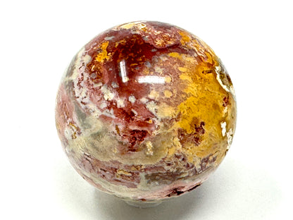 Fossil Coral Sphere 6.1cm