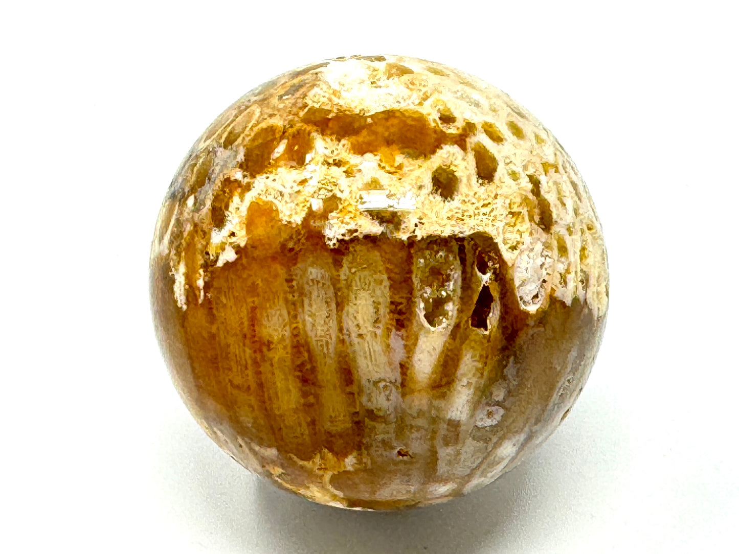 Fossil Coral Sphere 6.5cm