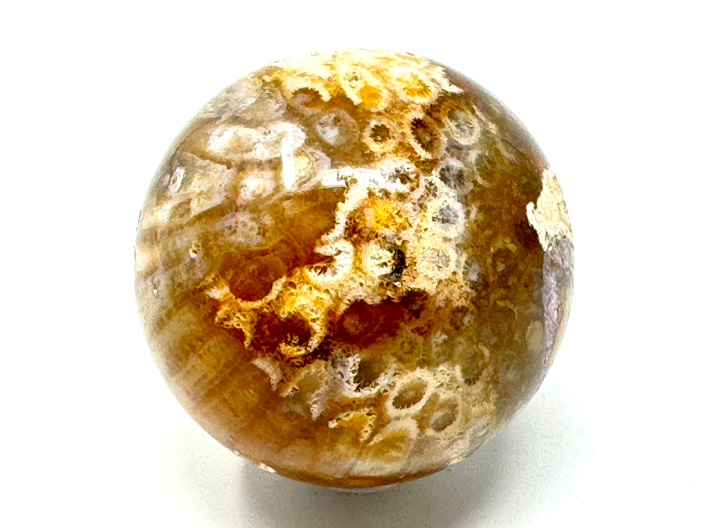 Fossil Coral Sphere 6.5cm