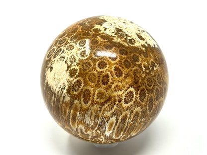 Fossil Coral Sphere 7cm