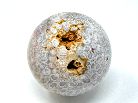 Fossil Coral Sphere 6.8cm