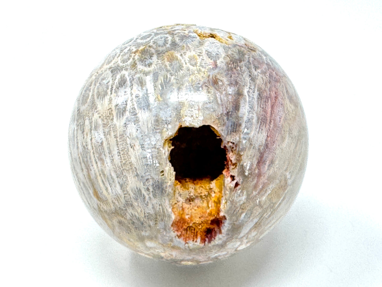 Fossil Coral Sphere 6.8cm