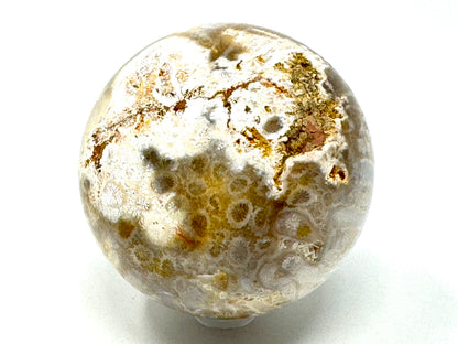 Fossil Coral Sphere 6.7cm