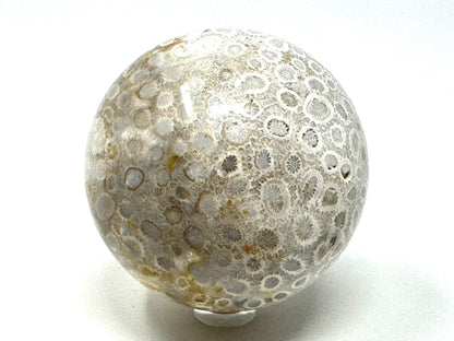 Fossil Coral Sphere 6.7cm