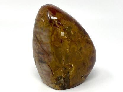 Fossil Wood Freeform 11.7cm