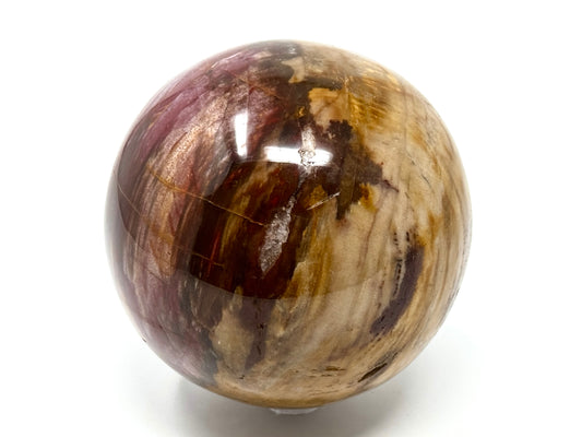 Large Fossil Wood Sphere 9.2cm