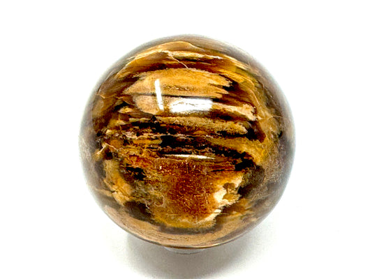 Fossil Wood Sphere 5.4cm