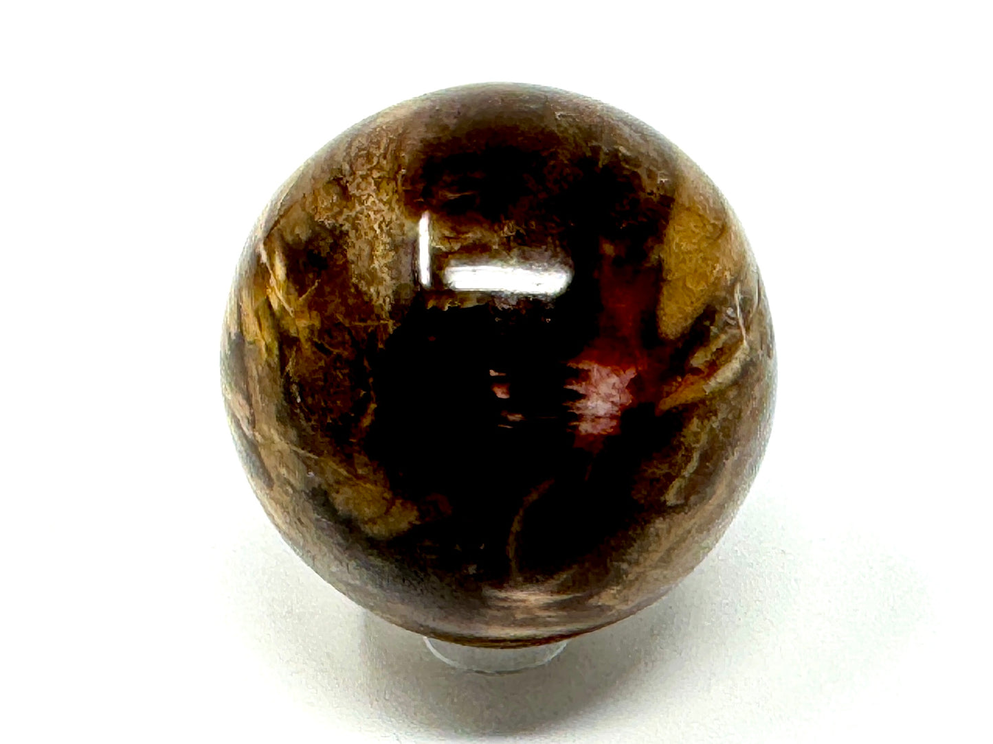 Fossil Wood Sphere 5.4cm