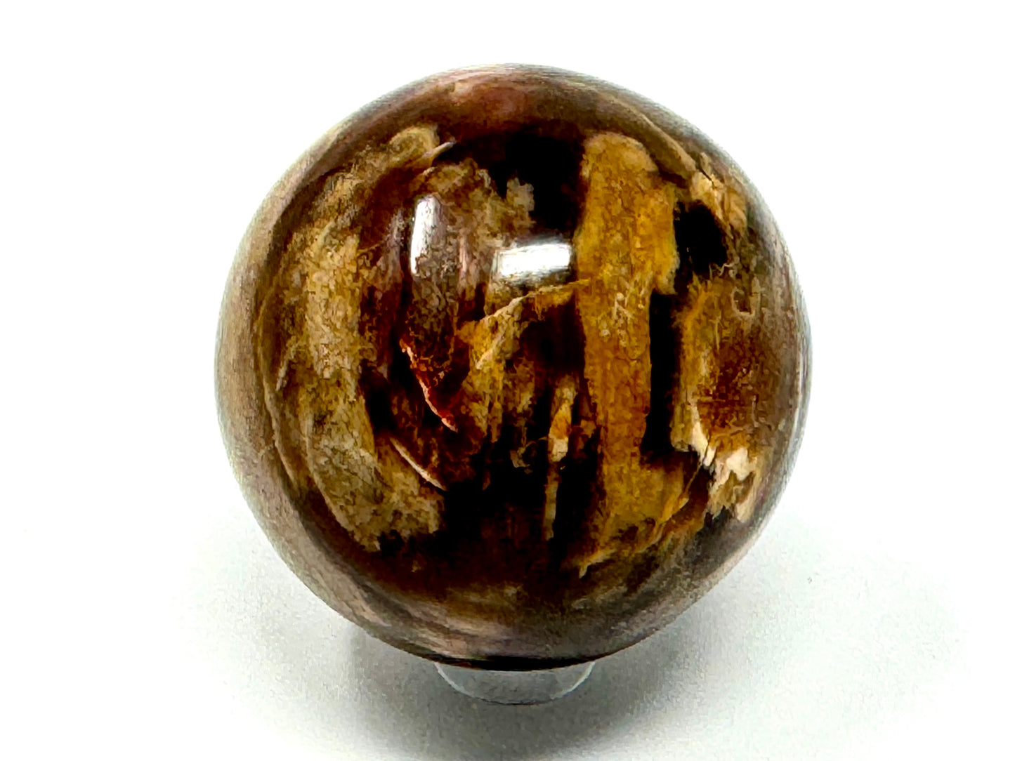Fossil Wood Sphere 5.4cm